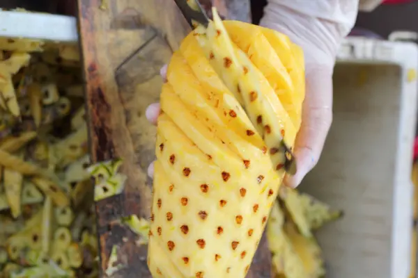 Närbild färsk ananas i hand — Stockfoto