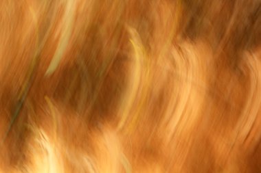 bulanık ışık trails - arka plan Güzellik