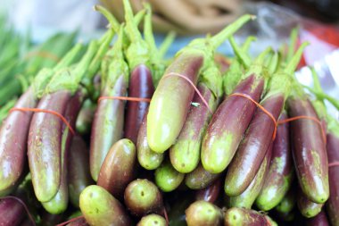 doğada mor patlıcan