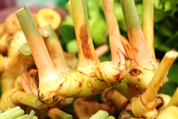 Ginger root in the market — Stock Photo, Image