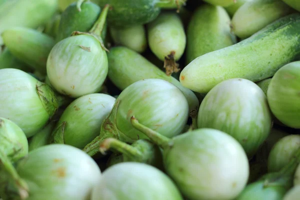 Verse aubergine in de natuur — Stockfoto