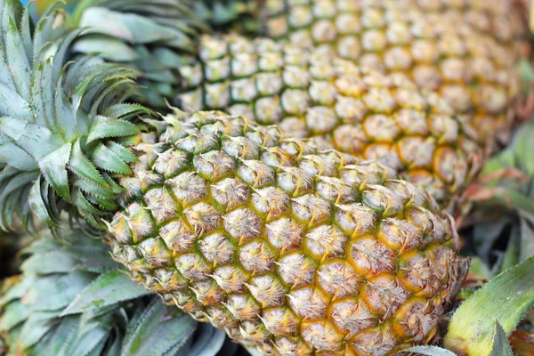 Fresh pineapple in the market — Stock Photo, Image