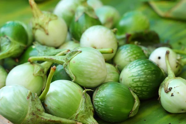 Berenjena fresca en la naturaleza —  Fotos de Stock