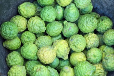 Güney Afrika'da bir kabile ve sülük limon