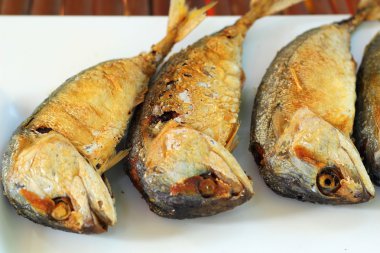 plaka içinde kızarmış uskumru