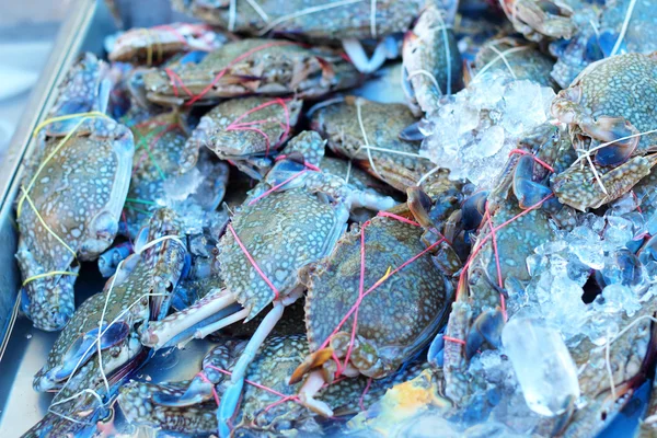 Fresh crab on the market. — Stock Photo, Image