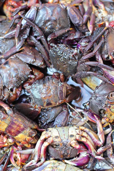 Färsk krabba på marknaden. — Stockfoto