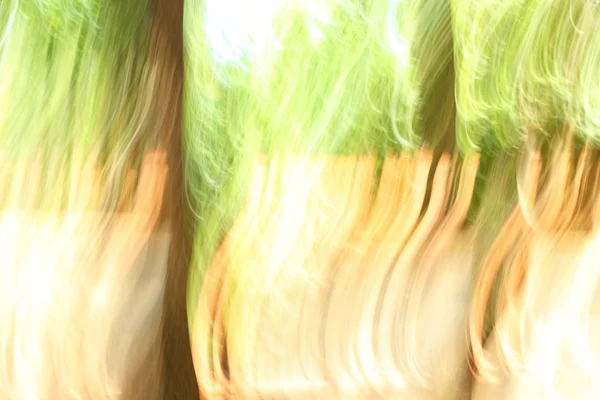 Verschwommenes Licht Wald - Hintergrund Schönheit — Stockfoto