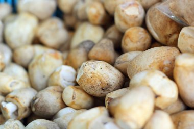 Pazarda taze mantarlar