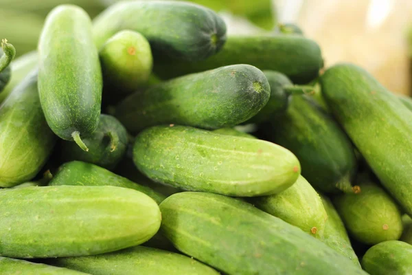 Frische Gurken auf dem Markt — Stockfoto