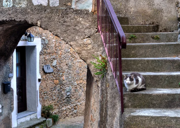 Castelvecchio di rocca barbena — Stock fotografie