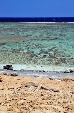 Marsa alam