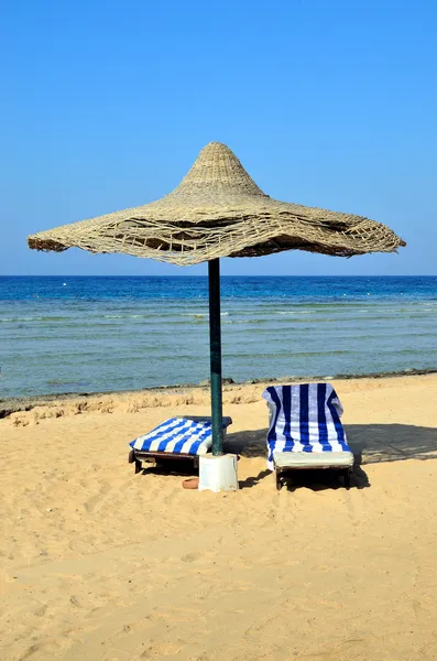 Marsa alam
