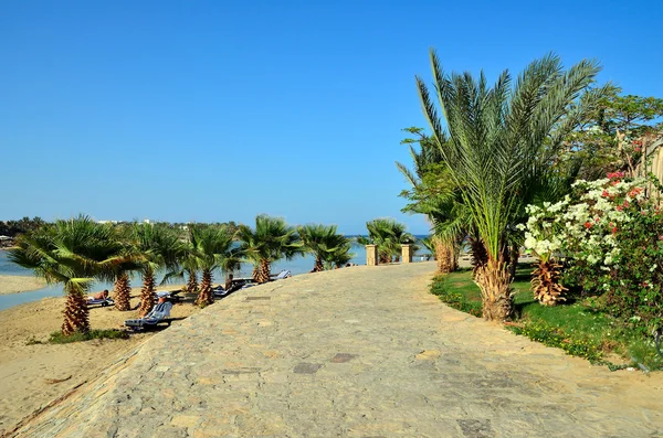 Marsa alam
