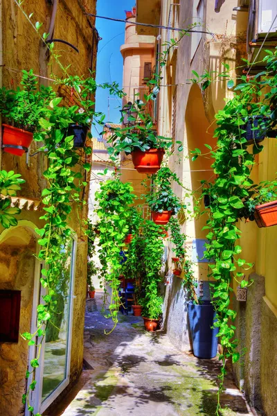 Centro Histórico Tropea Calabria Italia — Foto de Stock