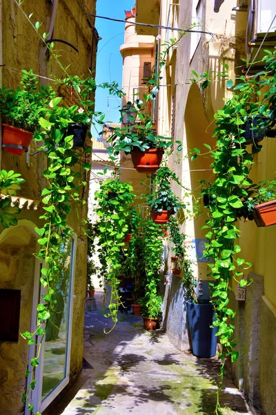 Tropea Calabriens Historiska Centrum Italien — Stockfoto