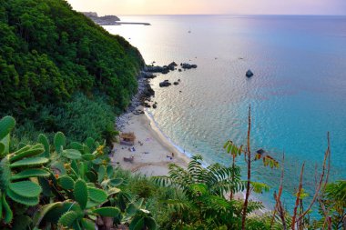 Michelino plajı Tropea Calabria İtalya