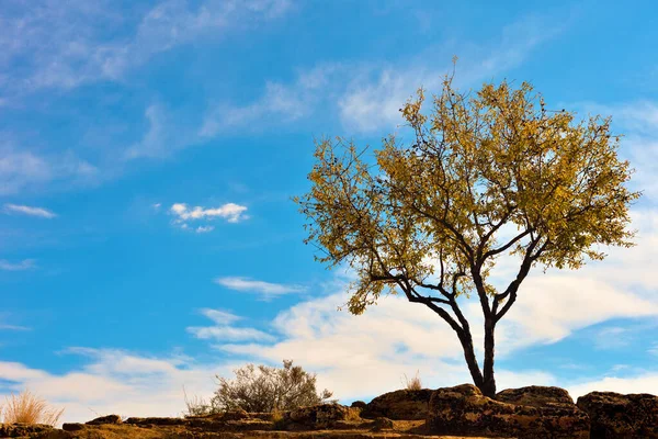 Valle Los Templos Agrigento Sicilia Italia — Foto de Stock