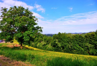 Satıştaki langhe panoraması San Giovanni cuneo italy