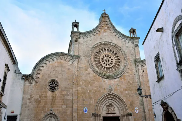 Olivenbäume Ostuni Puglia Italien — Stockfoto