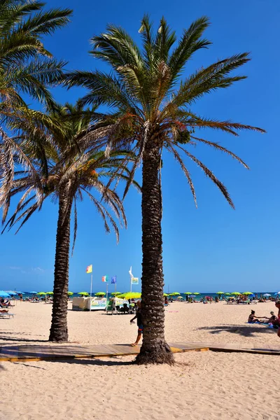 Playa Considerada Una Las Playas Más Bellas Sicilia Toda Italia — Foto de Stock