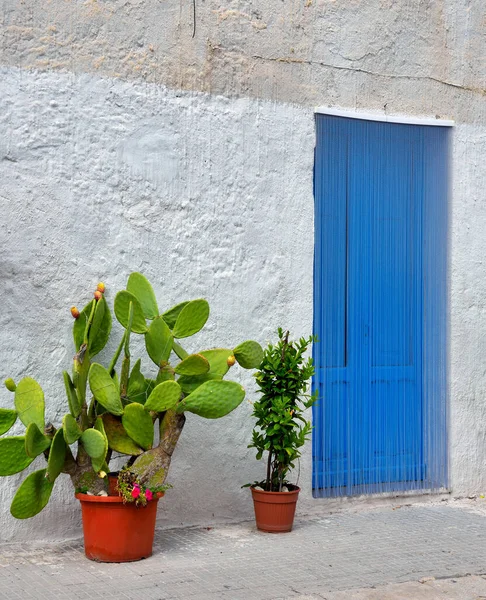 Живописная Дверь Центре Сан Вито Капо Сицилия Италия — стоковое фото