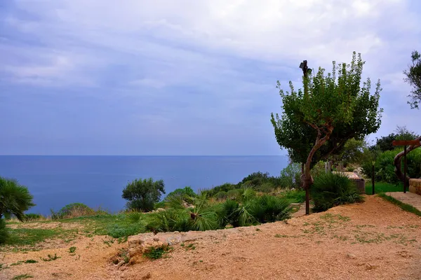 Coastal Panorama Zingaro Reserve Sicily Italy — Stock Photo, Image