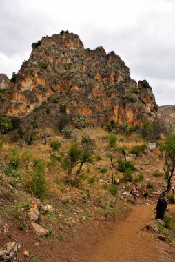 Zingaro 'nun kıyı şeridi doğal rezervi Sicilya' da.