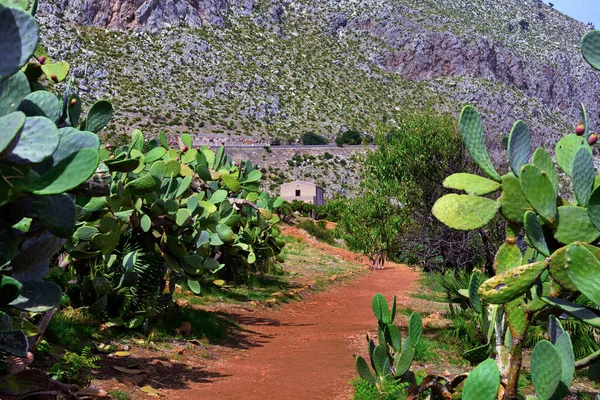 Sendero Costero Reserva Natural Zingaro Sicily Italia — Foto de Stock