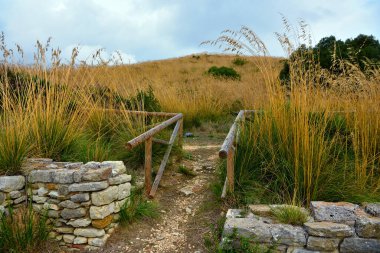 Segesta, Trapani Sicilya, İtalya 'daki Eski Yunan tapınağında