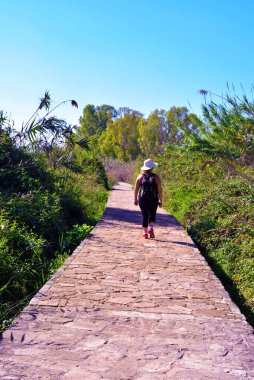 Vendicari Vahşi Yaşam Koruma Alanı, Syracuse 'un özgür belediye konsorsiyumu içinde yer alan korunan doğal bir alandır.