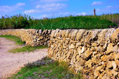 Vendicari Vahşi Yaşam Koruma Alanı, Syracuse 'un özgür belediye konsorsiyumu içinde yer alan korunan doğal bir alandır.