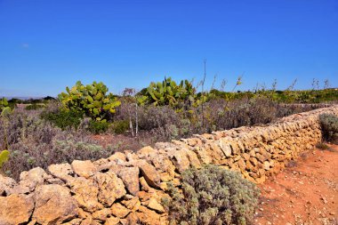 Vendicari Vahşi Yaşam Koruma Alanı, Syracuse 'un özgür belediye konsorsiyumu içinde yer alan korunan doğal bir alandır.