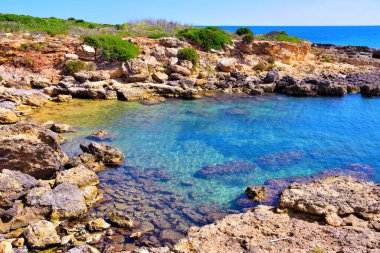 Vendicari Vahşi Yaşam Koruma Alanı, Syracuse 'un özgür belediye konsorsiyumu içinde yer alan korunan doğal bir alandır.