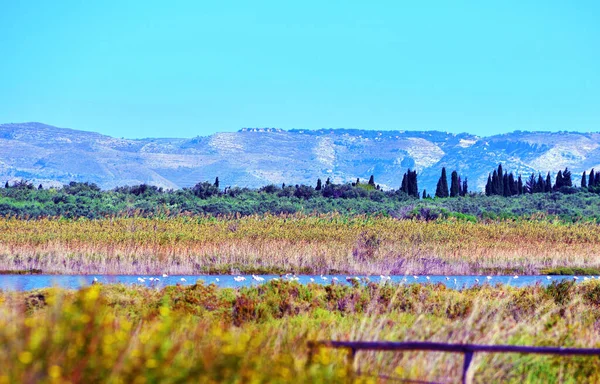 Réserve Faunique Vendicari Est Une Zone Naturelle Protégée Située Sein — Photo