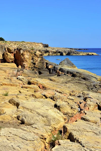 Réserve Faunique Vendicari Est Une Zone Naturelle Protégée Située Sein — Photo