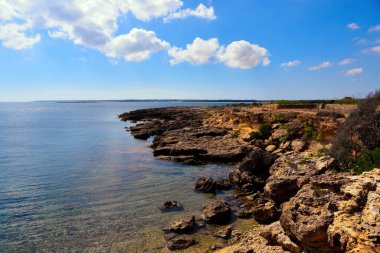 Vendicari Vahşi Yaşam Koruma Alanı, Syracuse 'un özgür belediye konsorsiyumu içinde yer alan korunan doğal bir alandır.