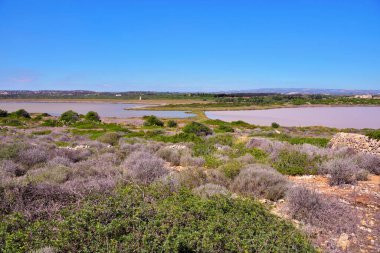 Vendicari Vahşi Yaşam Koruma Alanı, Syracuse 'un özgür belediye konsorsiyumu içinde yer alan korunan doğal bir alandır.