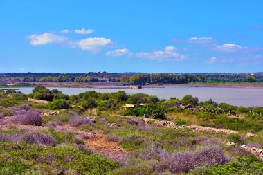 Vendicari Vahşi Yaşam Koruma Alanı, Syracuse 'un özgür belediye konsorsiyumu içinde yer alan korunan doğal bir alandır.
