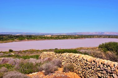 Vendicari Vahşi Yaşam Koruma Alanı, Syracuse 'un özgür belediye konsorsiyumu içinde yer alan korunan doğal bir alandır.