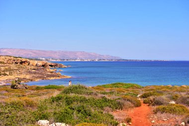 Vendicari Vahşi Yaşam Koruma Alanı, Syracuse 'un özgür belediye konsorsiyumu içinde yer alan korunan doğal bir alandır.