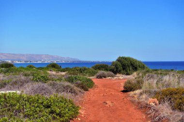 Vendicari Vahşi Yaşam Koruma Alanı, Syracuse 'un özgür belediye konsorsiyumu içinde yer alan korunan doğal bir alandır.