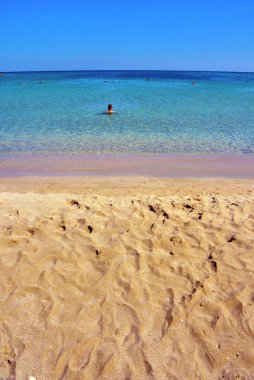 Sicilya 'nın en güzel plajlarından birinde, Vendicari Doğal Rezerv Siraküzü' nde.