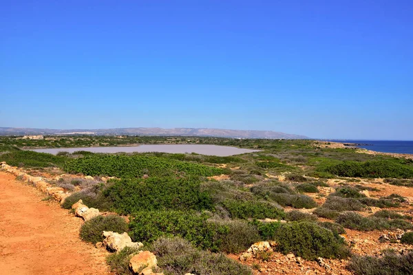 Reserva Vida Selvagem Vendicari Uma Área Natural Protegida Localizada Dentro — Fotografia de Stock