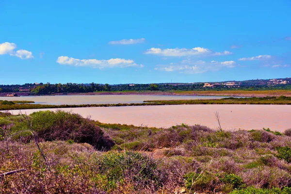 Vendicari Wildlife Reserve Είναι Μια Προστατευόμενη Φυσική Περιοχή Που Βρίσκεται — Φωτογραφία Αρχείου