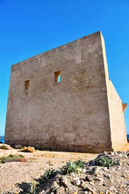 Vendicari Vahşi Yaşam Koruma Alanı, Syracuse 'un özgür belediye konsorsiyumu içinde yer alan korunan doğal bir alandır.