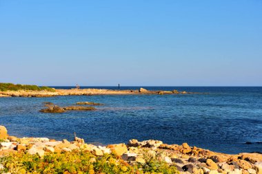 Vendicari Vahşi Yaşam Koruma Alanı, Syracuse 'un özgür belediye konsorsiyumu içinde yer alan korunan doğal bir alandır.