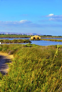 Vendicari Vahşi Yaşam Koruma Alanı, Syracuse 'un özgür belediye konsorsiyumu içinde yer alan korunan doğal bir alandır.