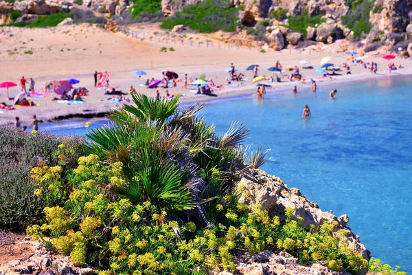Plaża Cala Mosche Jednej Najpiękniejszych Plaż Sycylii Rezerwacie Przyrody Vendicari — Zdjęcie stockowe