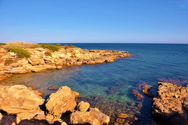 Réserve Faunique Vendicari Est Une Zone Naturelle Protégée Située Sein — Photo